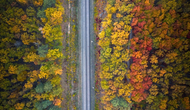 The railway through the autumn colorful bright forest. Top view