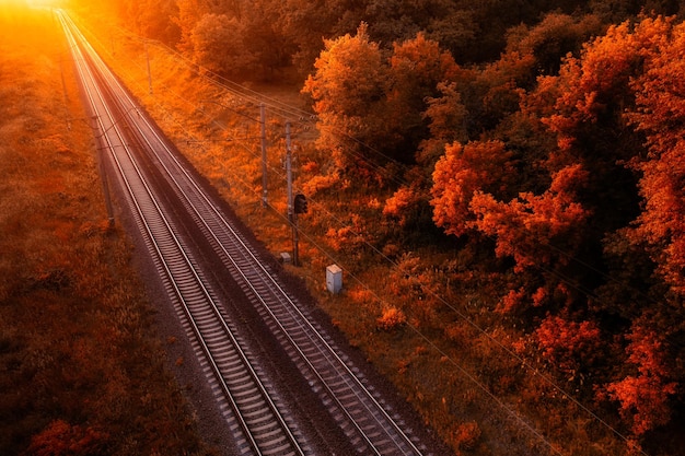 The railway through the autumn forest at dawn