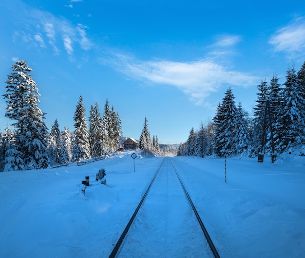 Railway through snowy fir forest and remote alpine helmet in Carpathian mountains snow drifts on wayside