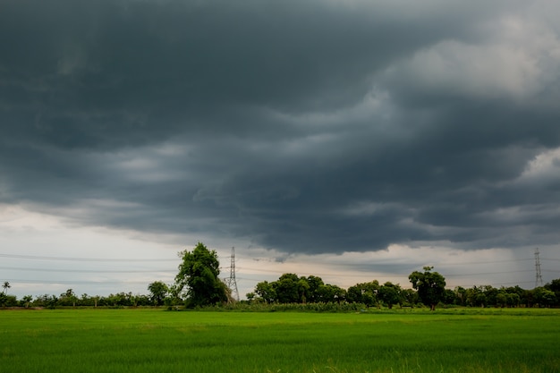 Rain clond on fields