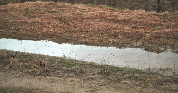 Rain drainage and sewage problems Hydrophobic and dry soil barely absorb water Standing water in yard