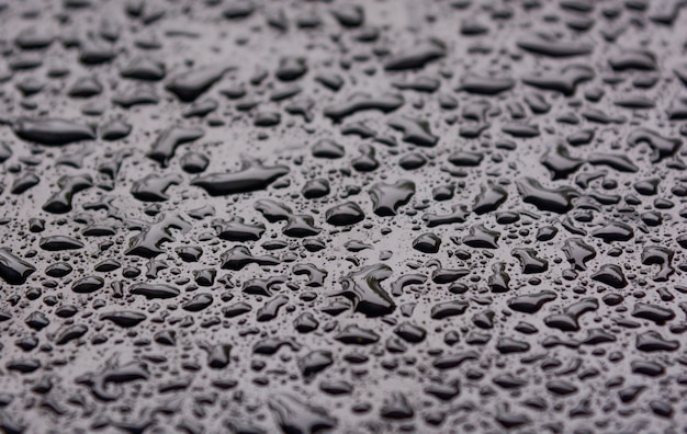 Rain drop background