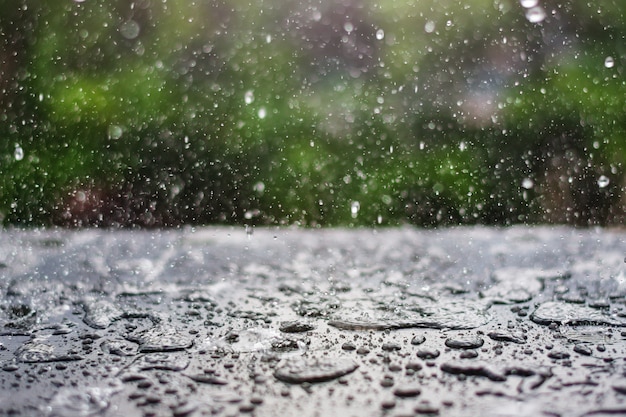 rain drop falling onto blackboard with green nature background