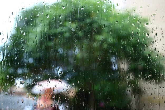 Rain drop on window glass with blur tree background.