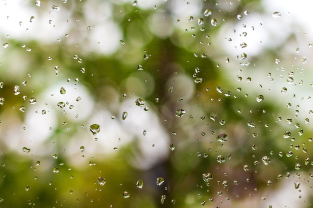 Rain drops on window and green nature background.