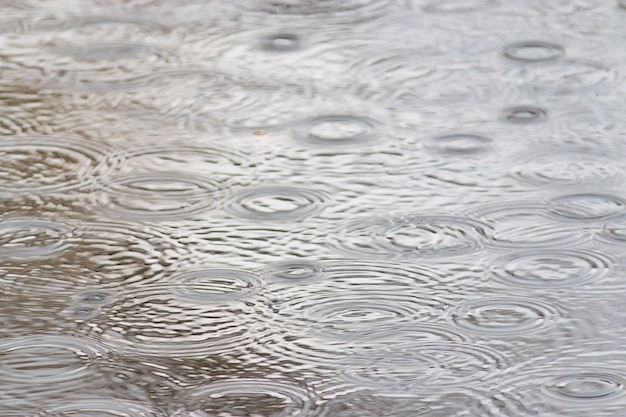 rain puddle circles, aqua abstract background, texture autumn water