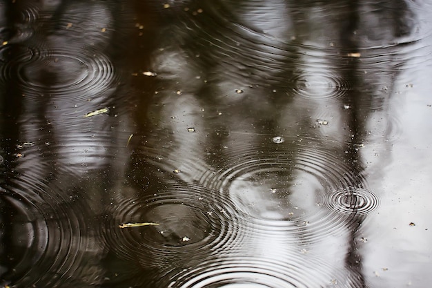 rain puddle circles, aqua abstract background, texture autumn water