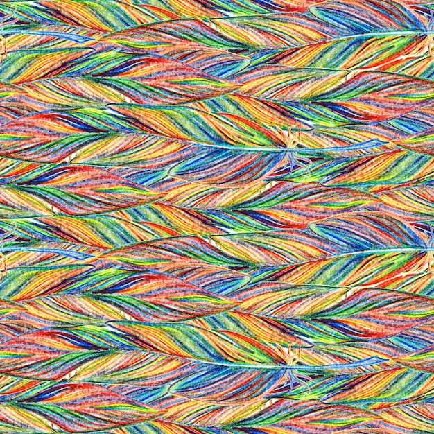 Rainbow colorful bird feather braid seamless pattern texture background