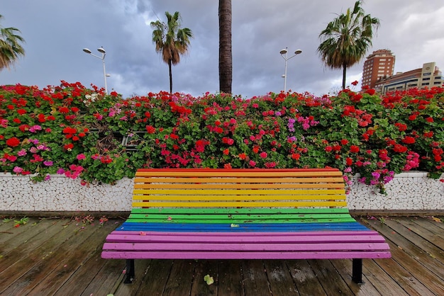 Rainbow flag bench after the rain in Valencia