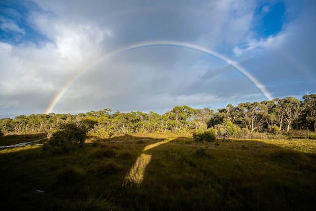 Photo rainbow over horizon in tasmania, australia.