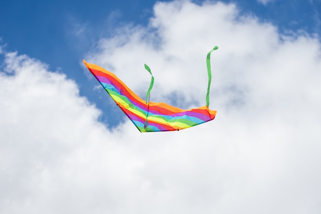 Rainbow kite flying in blue sky with clouds in summer with copyspace