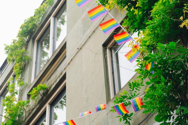 Rainbow pride and equality flags on banner. Rainbow LGBTQ banner Header newsletter background