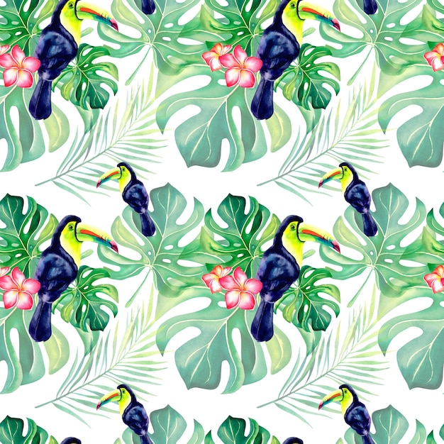 Rainbow toucan and monstera pattern Watercolor illustration Tropical birds Tropical flora