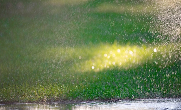 Raindrops fall on the asphalt and green grass.