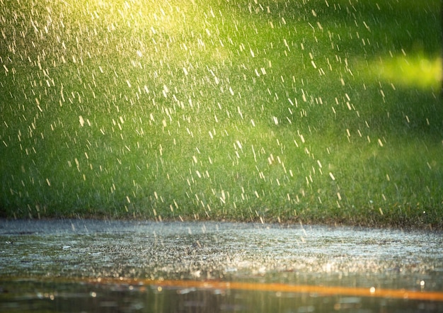 Raindrops fall on asphalt and green grass