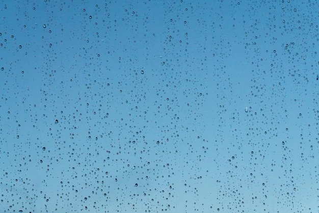 The raindrops on the window