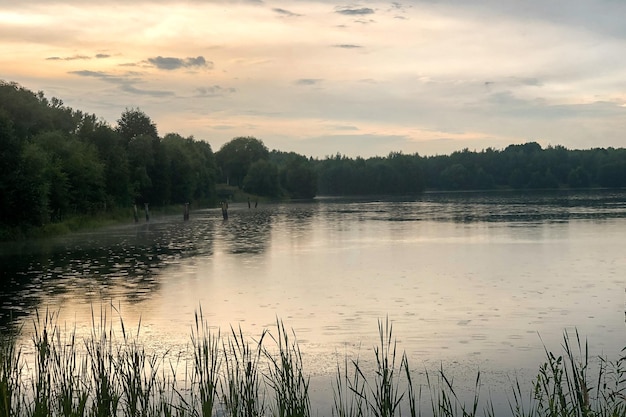 Rainy circles on calm water surface of lake in sunset light