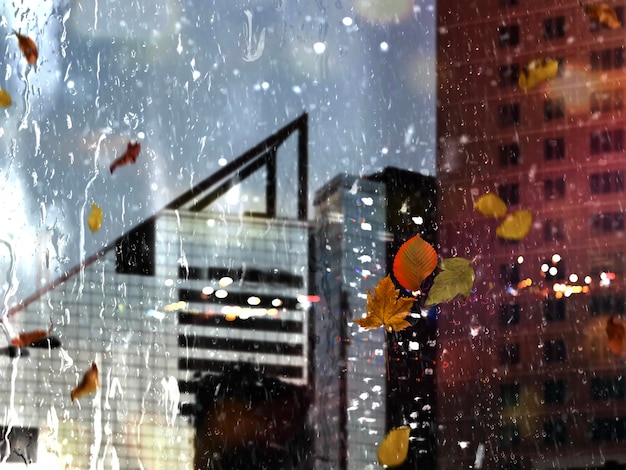 rainy city people with umbrellas yellow leaves night light reflection in window