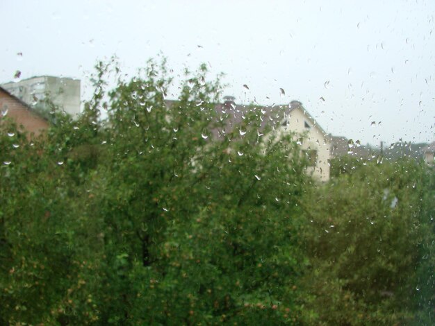 Rainy days rain drops on the window surface