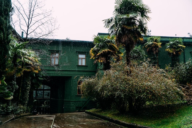 Rainy Weather Enhances Tropical Greenery Around Residence Sochi Russia