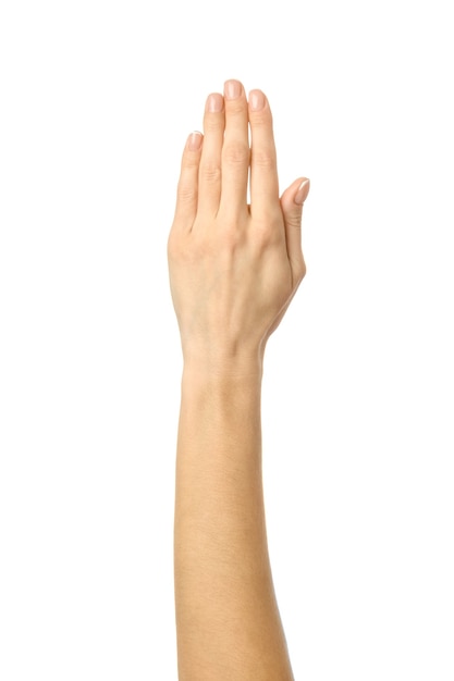 Raised hand voting or reaching. Woman hand with french manicure gesturing isolated on white background. Part of series