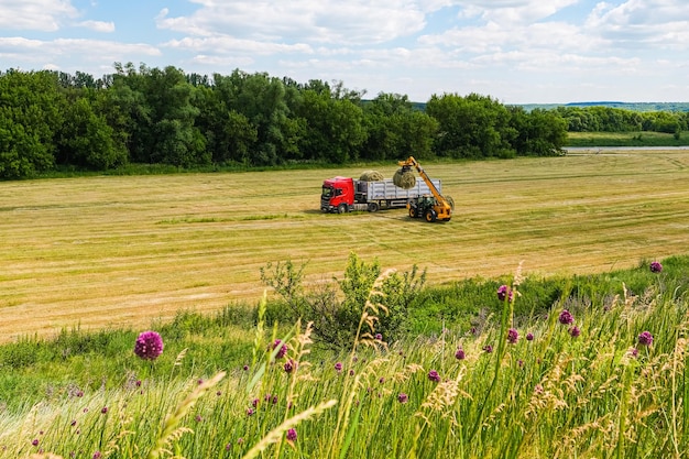 Photo a ranch worker moving bales of hay with a farm tractor on a ranch