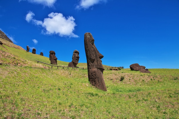 Rapa Nui. The statue Moai in Rano Raraku on Easter Island, Chile