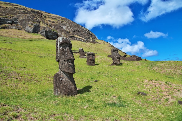 Rapa Nui. The statue Moai in Rano Raraku on Easter Island, Chile