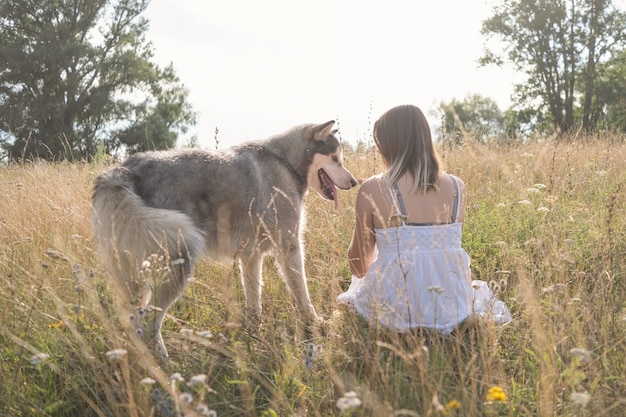 Rare view of caucasian blonde woman in white dress with alaskan malamute dog in summer field. love and friendship between human and animal.