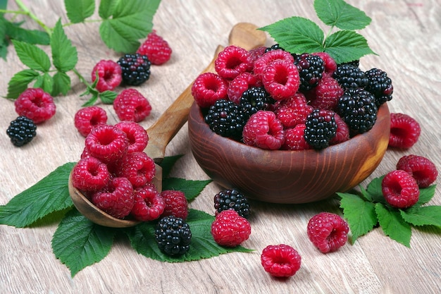 raspberries and blackberries are among the leaves of a plant.