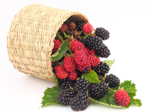 Raspberries and Blackberries fall out from the basket