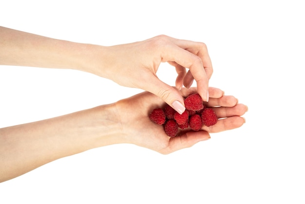 Raspberries in hands isolated on white background