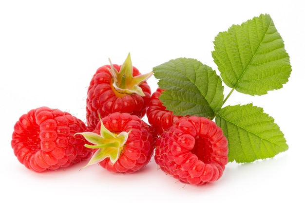 Raspberries isolated on white