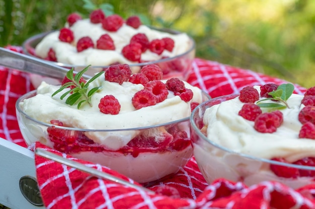 Raspberry dessert with whipped cream in bowls on a red towel with a blurred forest in the background