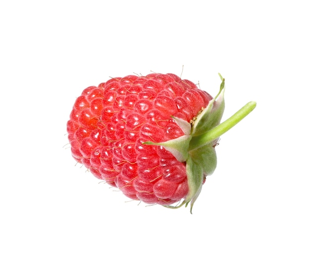 Raspberry Raspberry fruit wirh stem and leaves Isolated over white background