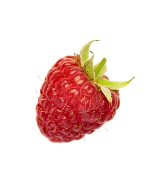 Raspberry on a white isolated background