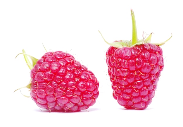 Raspberry