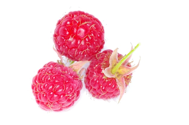 Raspberry