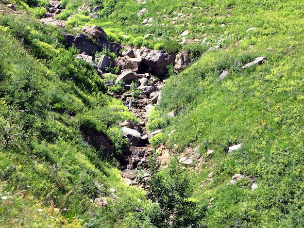 Ravine, crack in mountain, green grass and stones, mountains of Caucasus, dry bed of mountain river