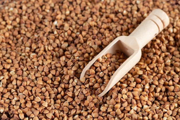 Raw brown buckwheat and wooden scoop closeup