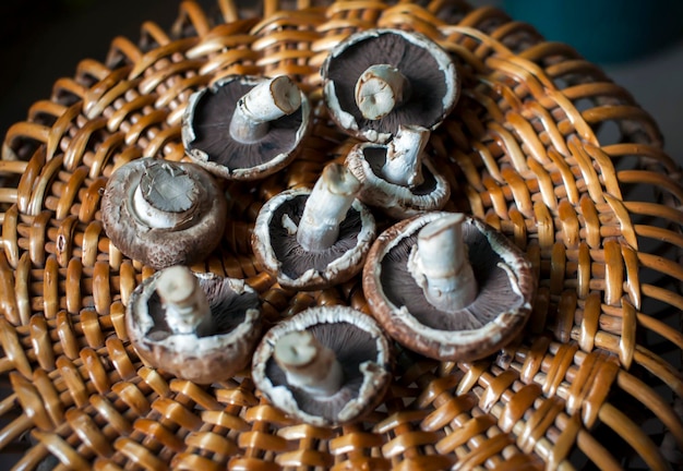 Raw brown champignon on a round wicker vine tray