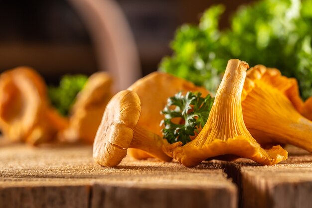 Raw chanterelles mushroom on wood with parsley herbs.