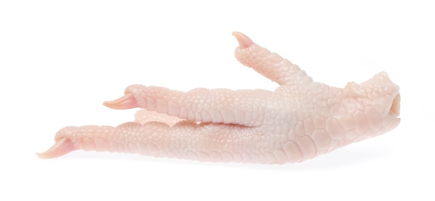 Photo raw chicken feet isolated on white background