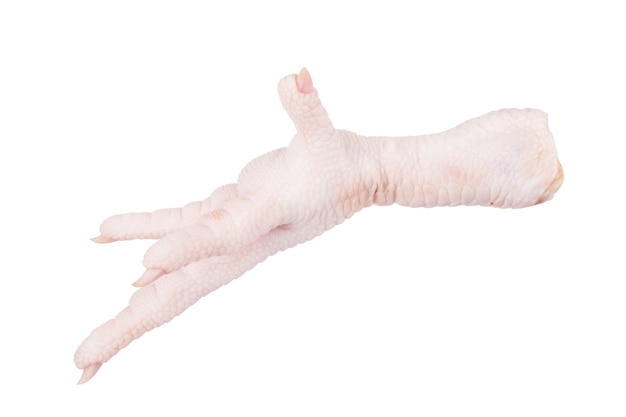 Photo raw chicken leg on a white background