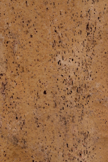 Raw cork plank texture