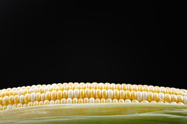 Raw corn in closeup corn kernel on black background view from an angle