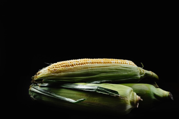 Raw corn cobs or maize on a black background harvest concept corn with green leaves lying in a pile