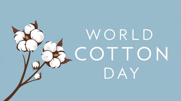 Raw Cotton Branch with Flowers Cotton Harvest Vector Illustration with Blue Frame World Cotton Day October 7