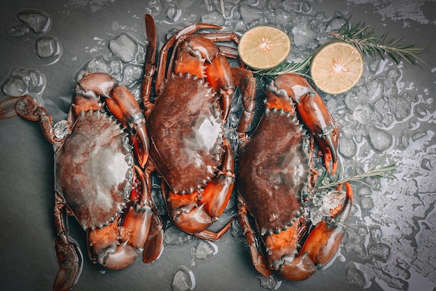 Raw crab on black background fresh mud crab with ice for cooking food in the seafood restaurant