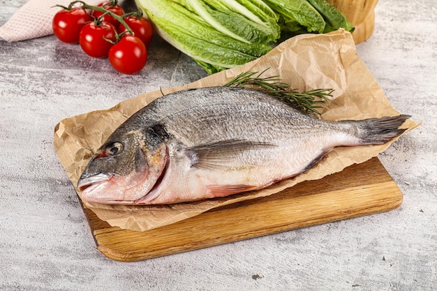 Raw dorada fish served rosemary